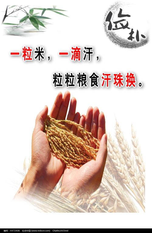 云南老版毕业证买个多少钱